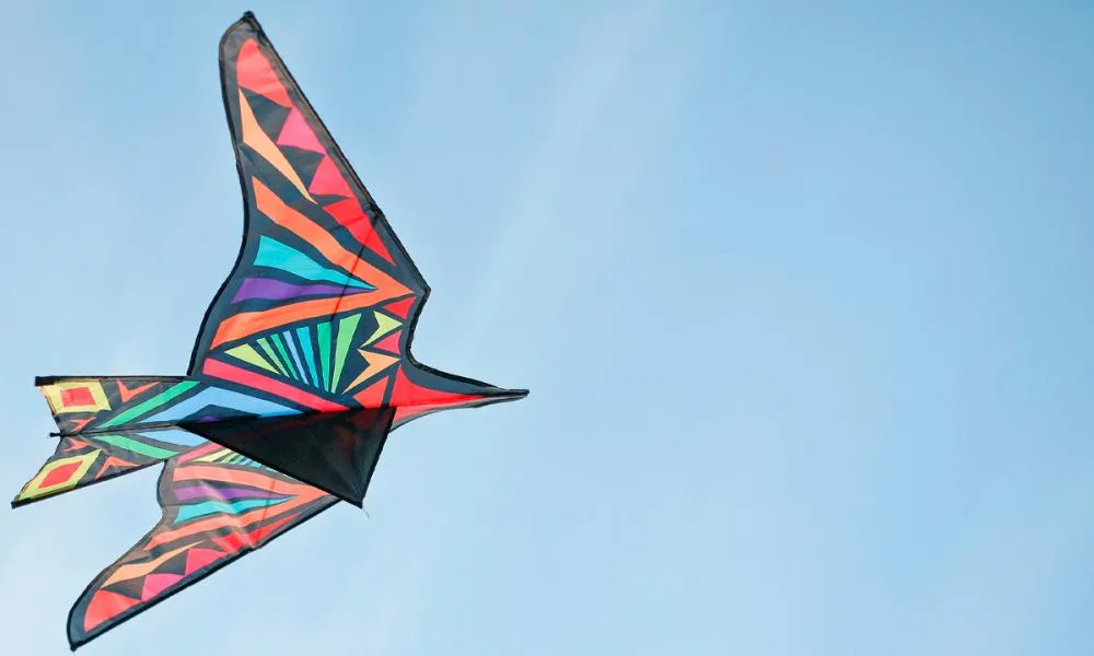 Prefeitura de Anápolis promove Festival de Pipas com atividades para toda a família